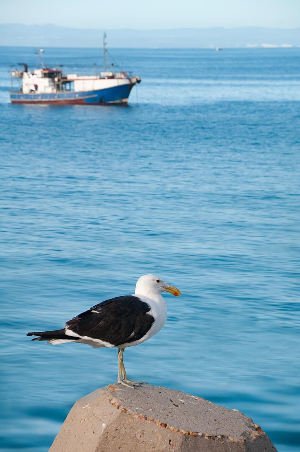 Port Main Royal Ocean's Edge House in Eastern Cape