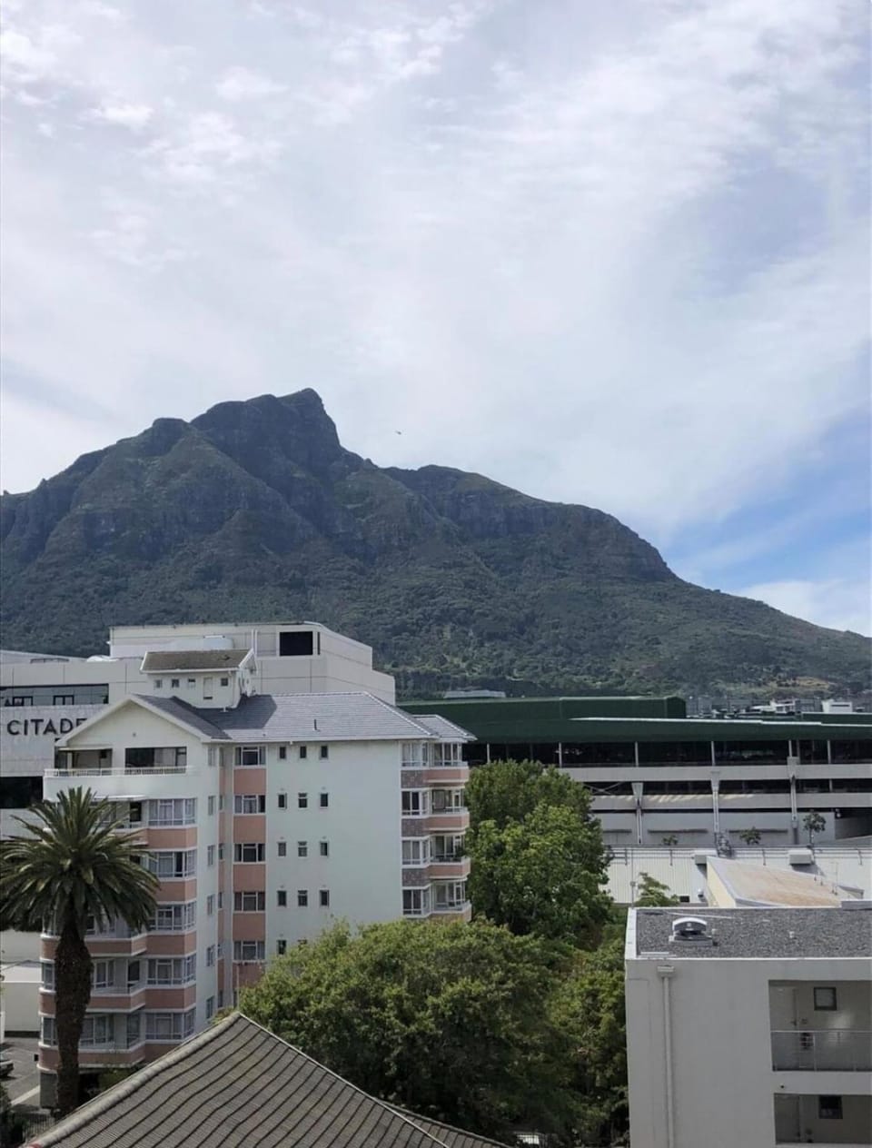 Modern 2BR in Claremont Apartment in Cape Town