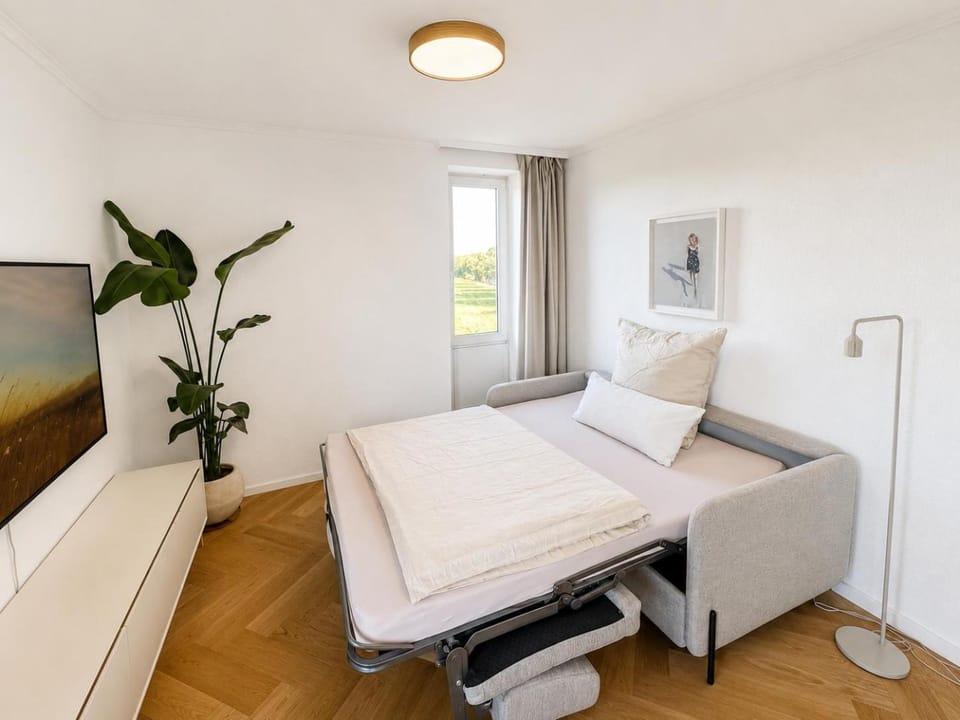 Bed, TV and multimedia, Living room