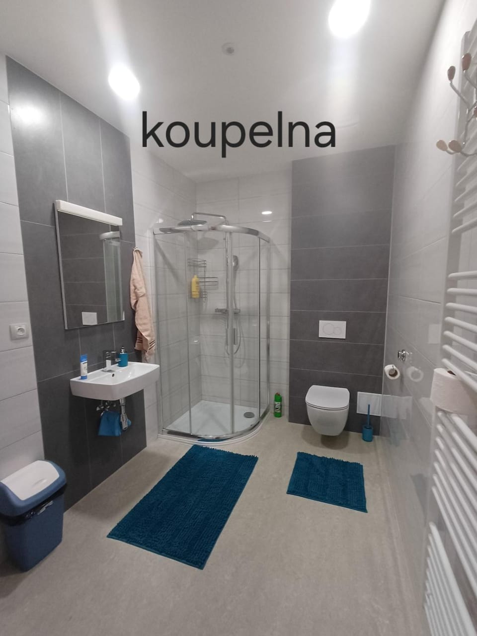 Residence Dobrá Voda u Českých Budějovic Apartment in South Bohemian Region