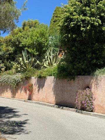 Garden, Garden view