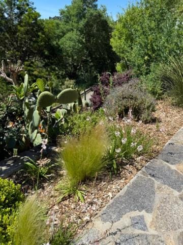 Garden, Garden