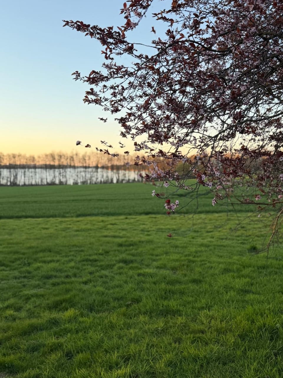 SeeSchön 2 - Gemütlichkeit zwischen See und Meer Apartment in Lubeck