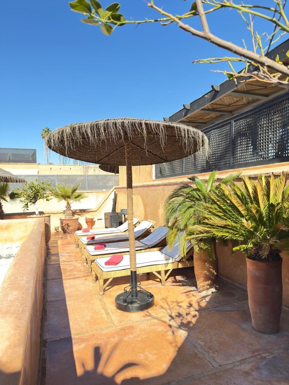 sunbed