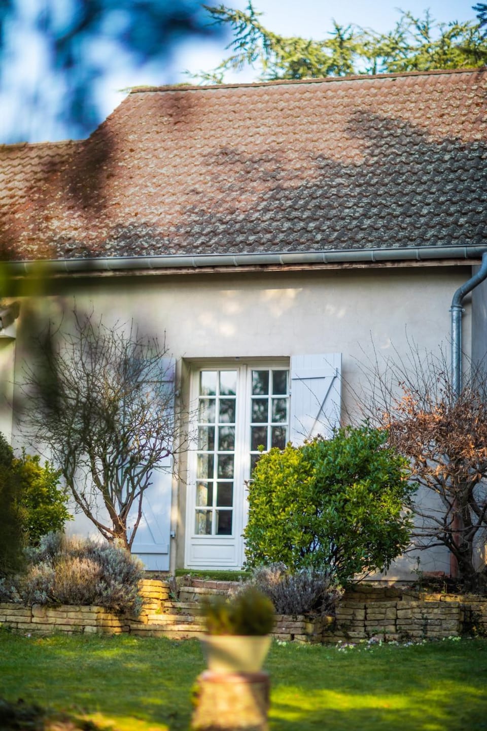 Property building, Garden, Garden view