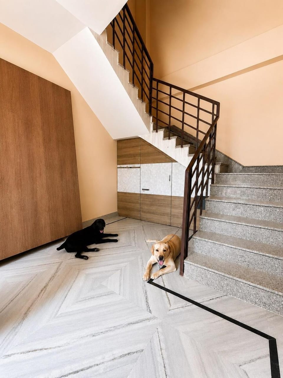 Facade/entrance, Pets