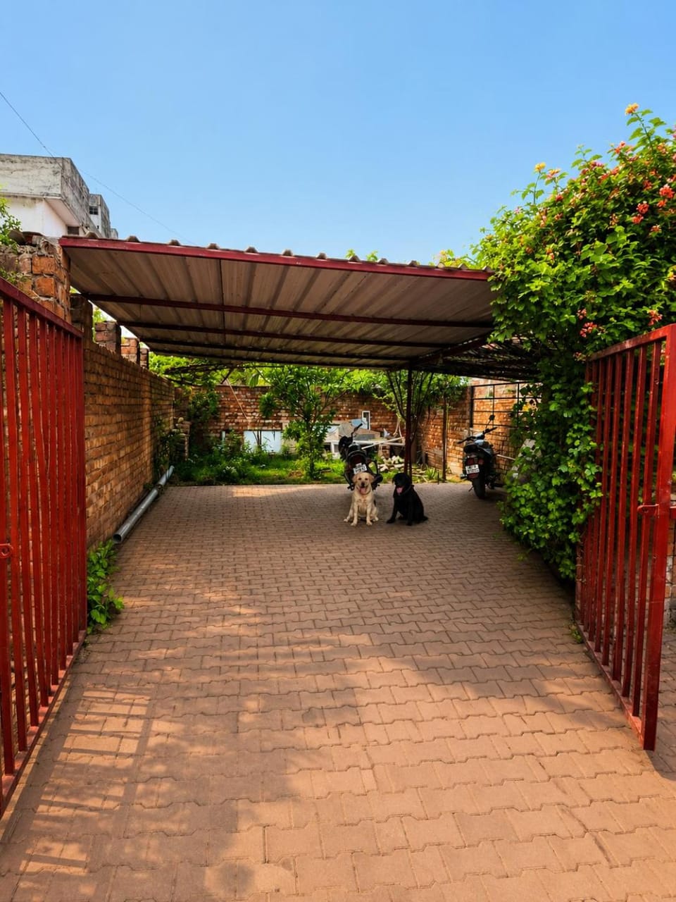 Day, Garden, Garden view