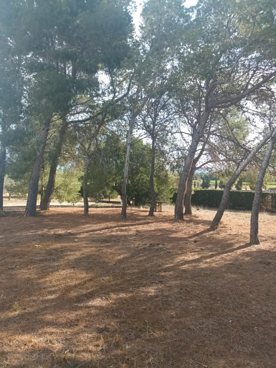 Garden, View (from property/room)