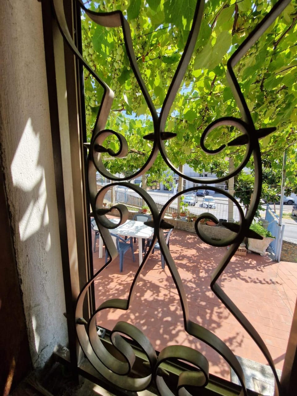 Garden view