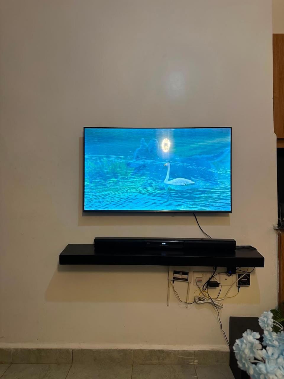 TV and multimedia