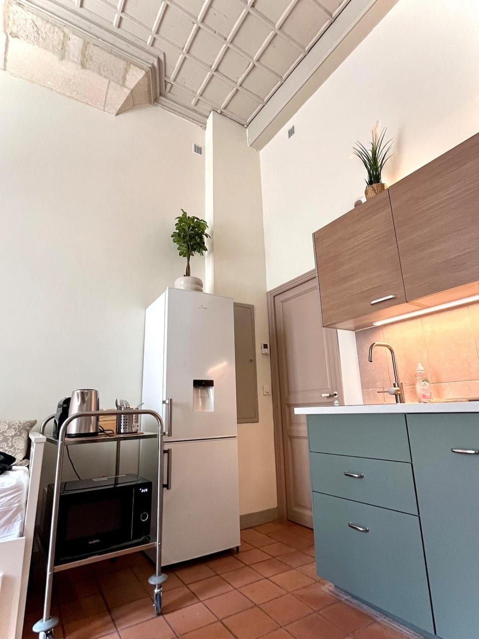 Characterful apartment - townhouse Apartment in Avignon