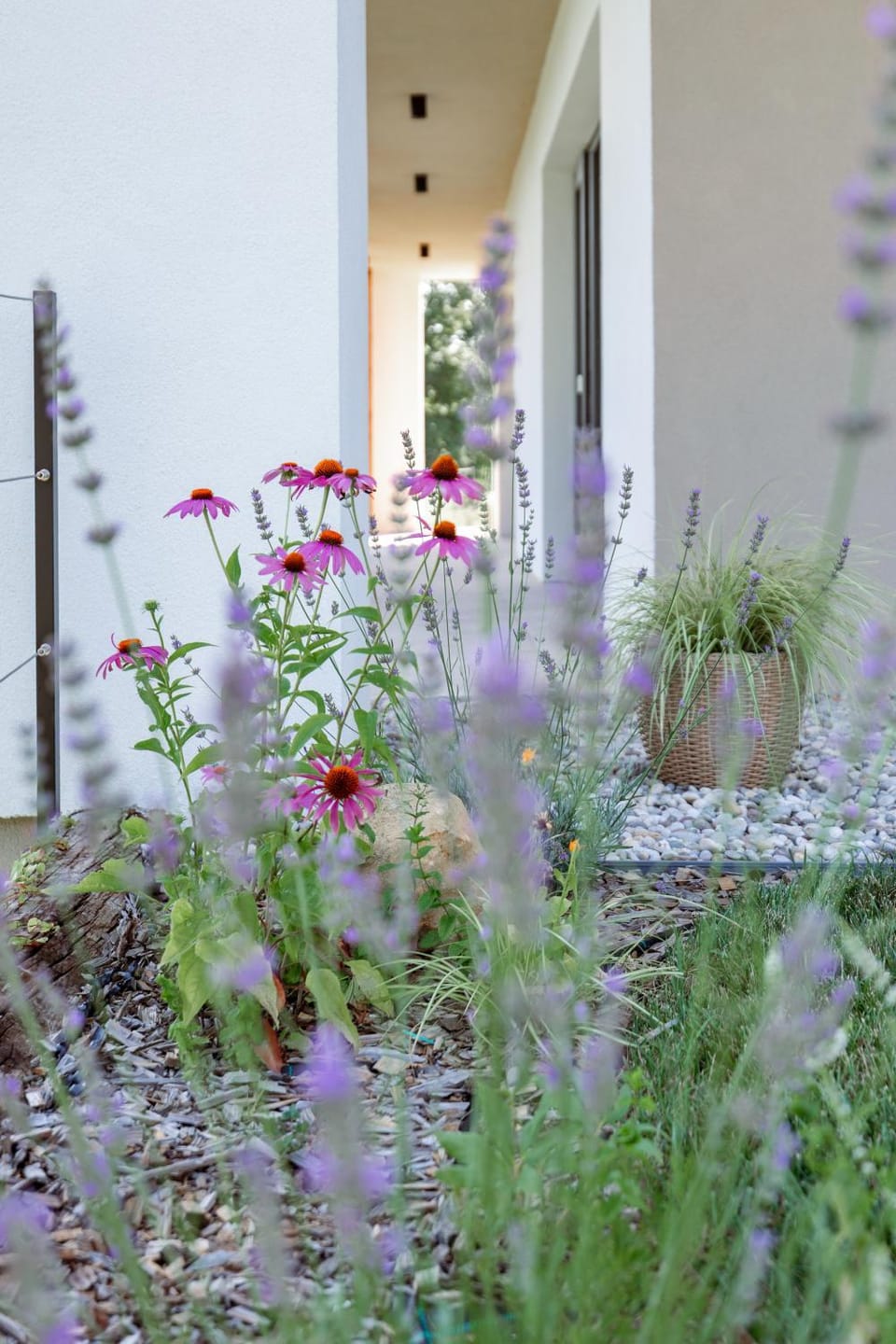 Garden, Garden view