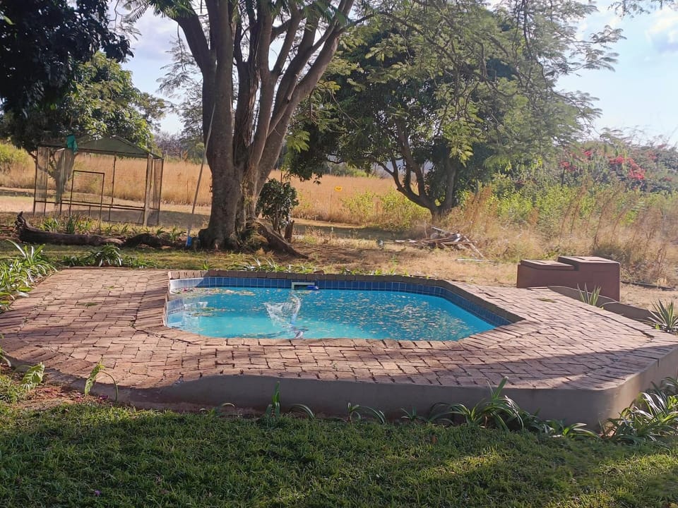 Natural landscape, Garden, Pool view