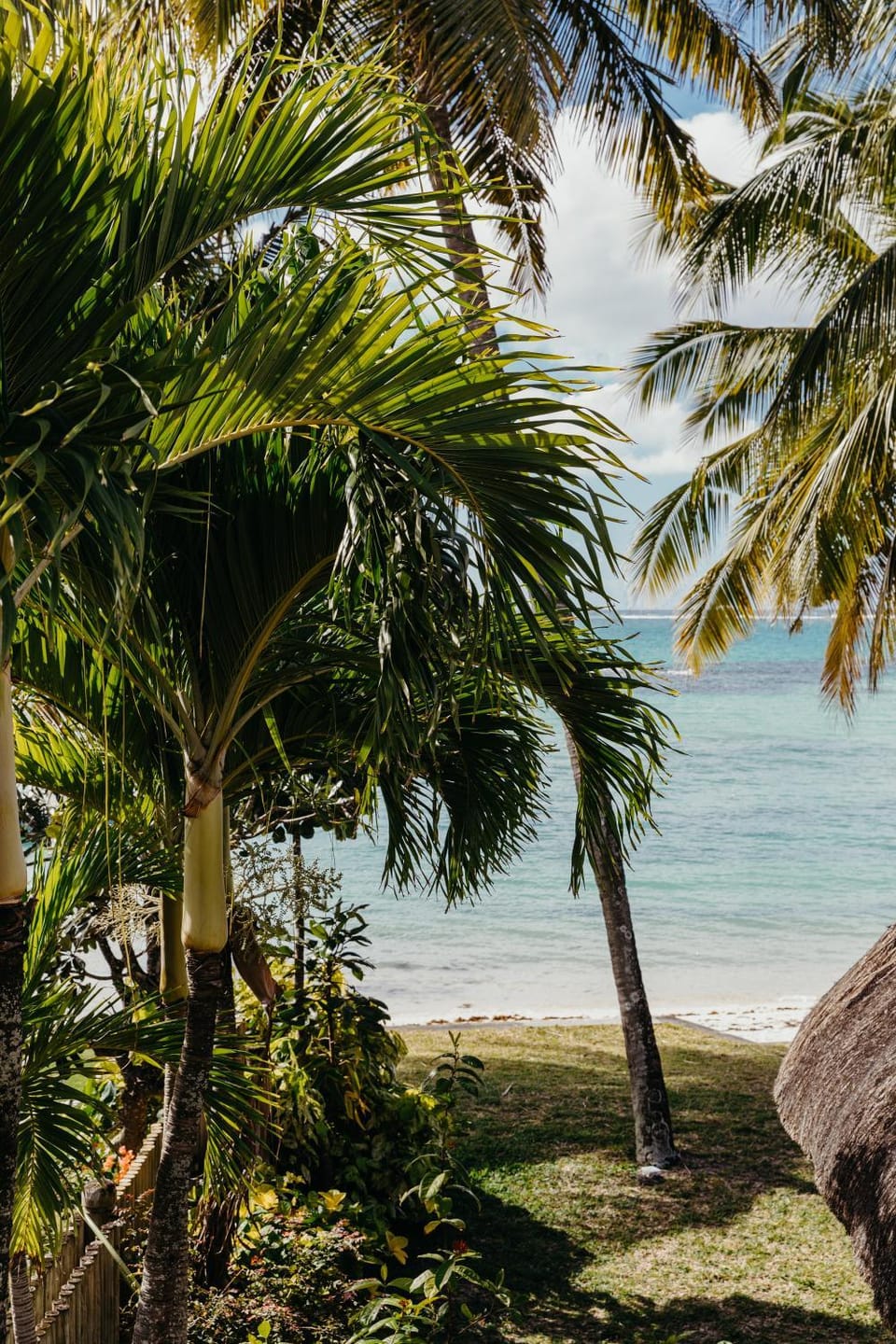 Garden, Beach, Garden view, Sea view