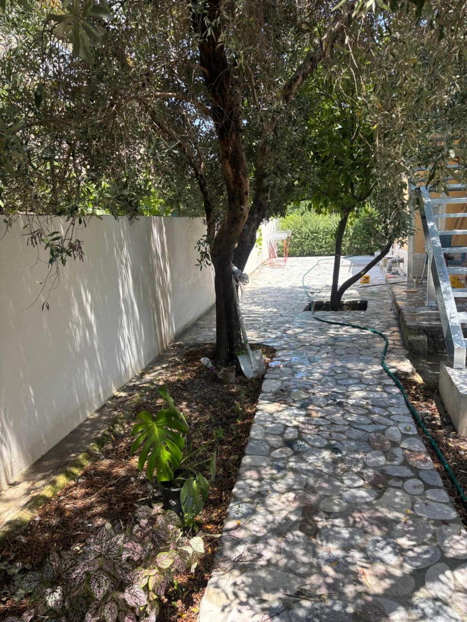 Besart room Bed and Breakfast in Vlorë County, Albania