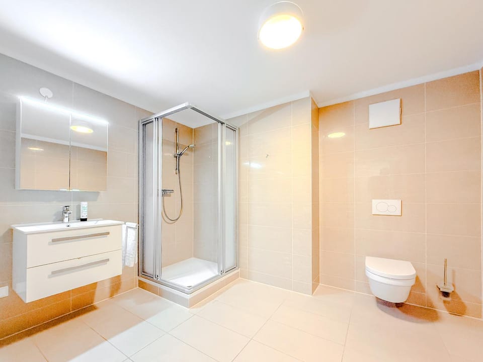 Shower, Toilet, Bathroom, towels