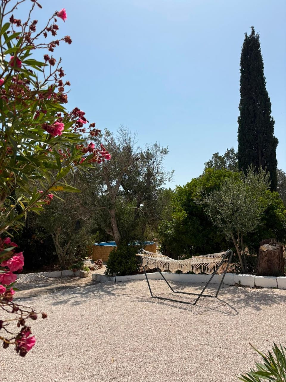 Garden, Swimming pool