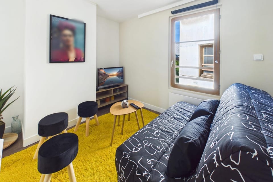 Le Refuge Du Lion Apartment in Troyes