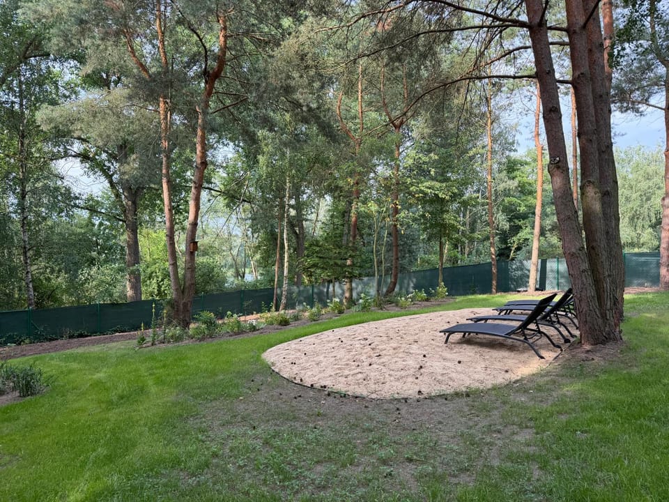 Natural landscape, Garden, sunbed