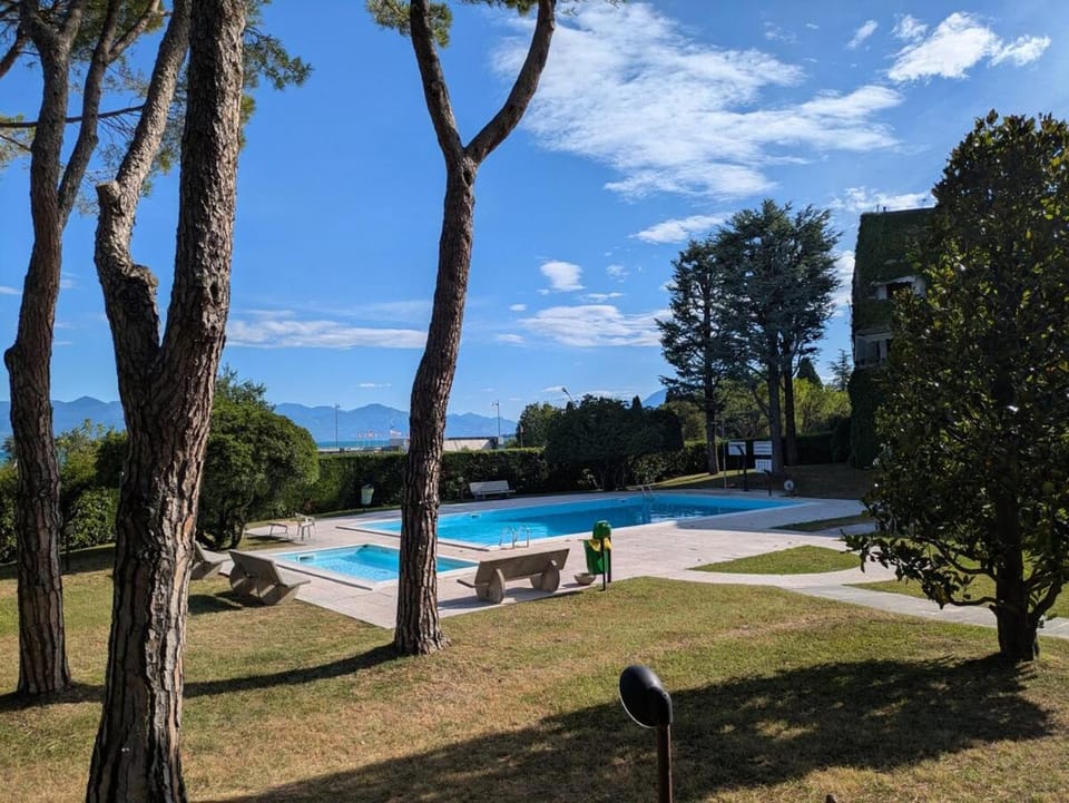 Garden, Swimming pool
