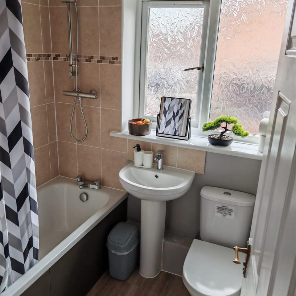Shower, Toilet, Bathroom, Bath, towels