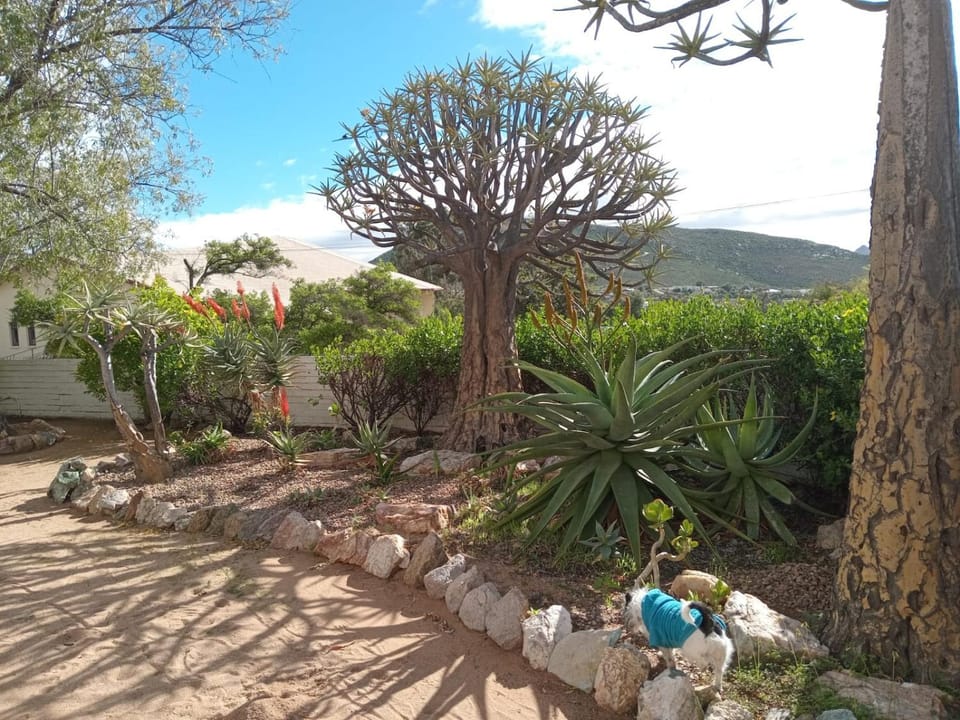 Springbok Lodge & Restaurant Hotel in South Africa