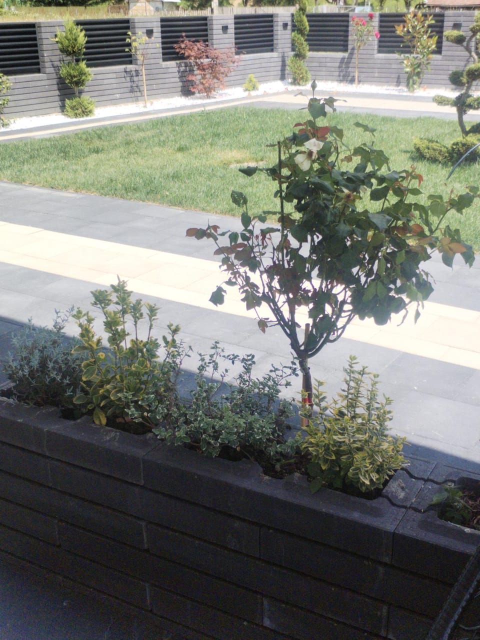 Garden view