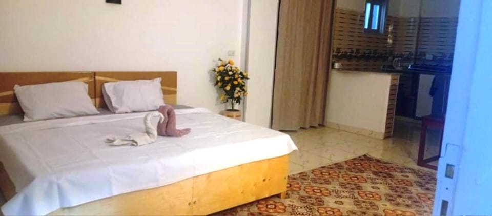 River Side Guest House Apartment in Luxor