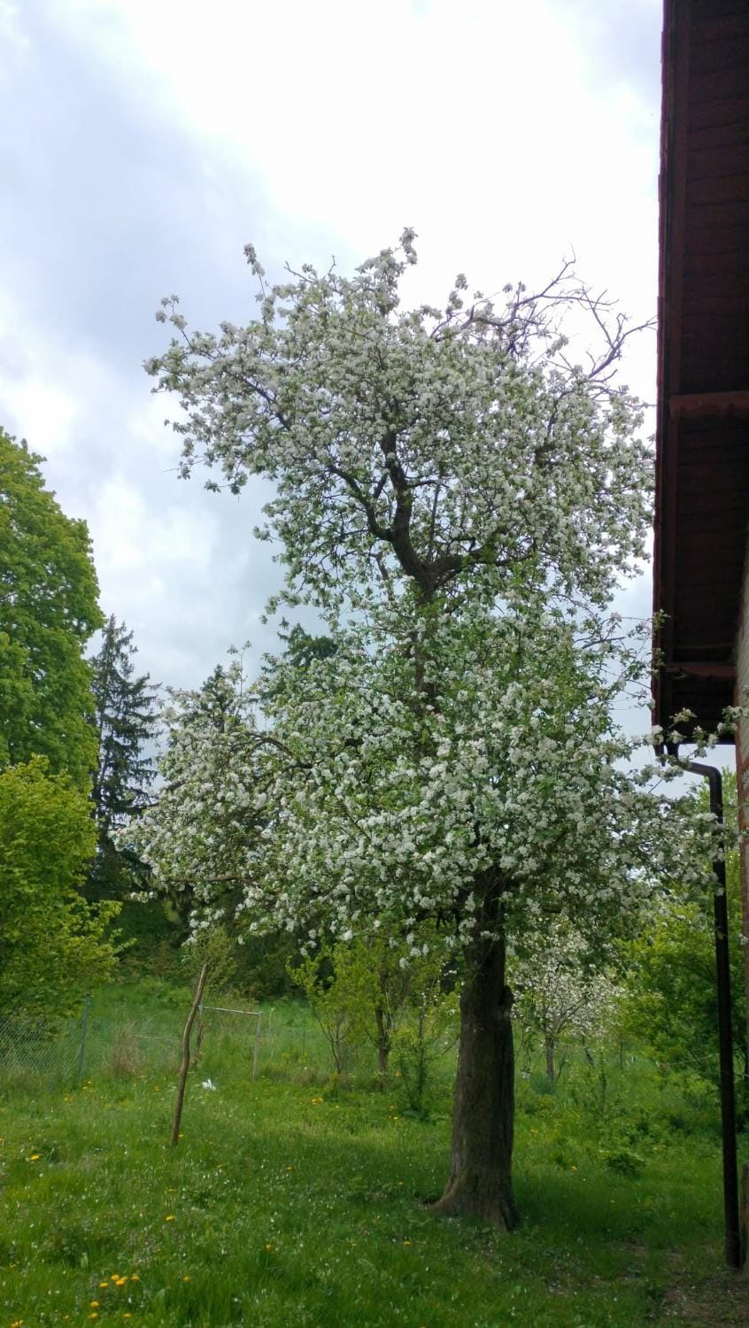 Agroturystyka Pieczarki Farm Stay in Poland