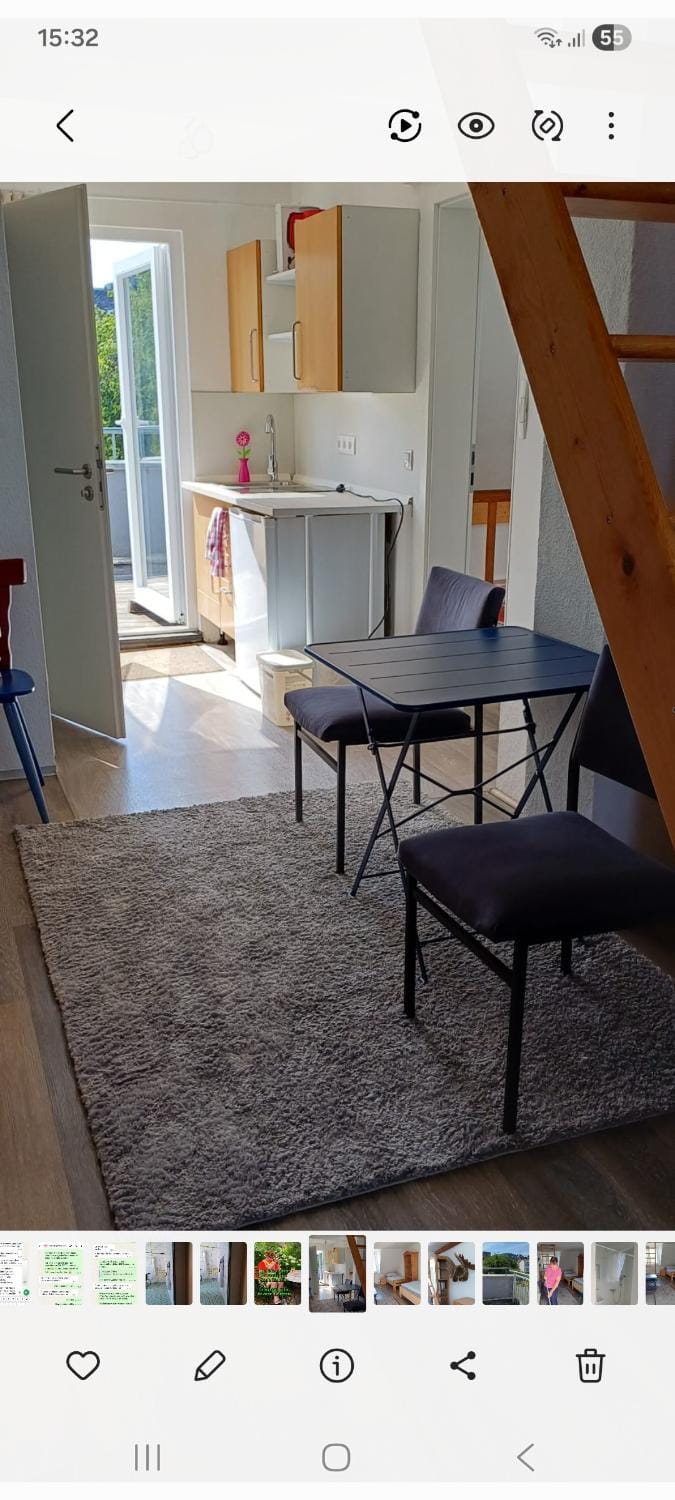Ferienwohnung Kirschbaumblick Apartment in Mayen