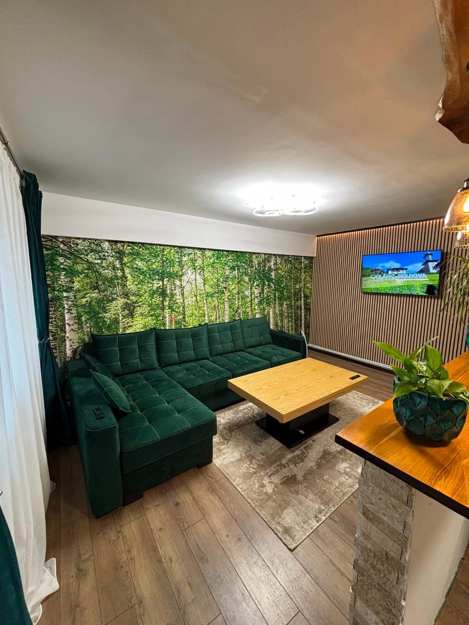 TV and multimedia, Living room