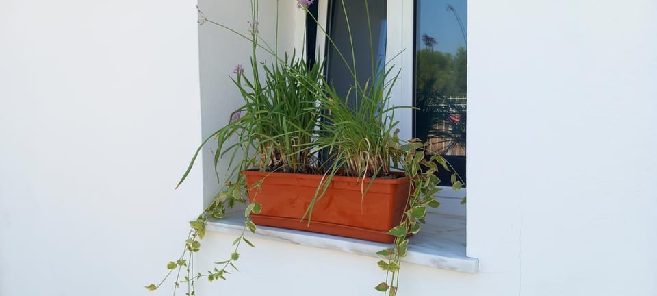 Garden, Garden view