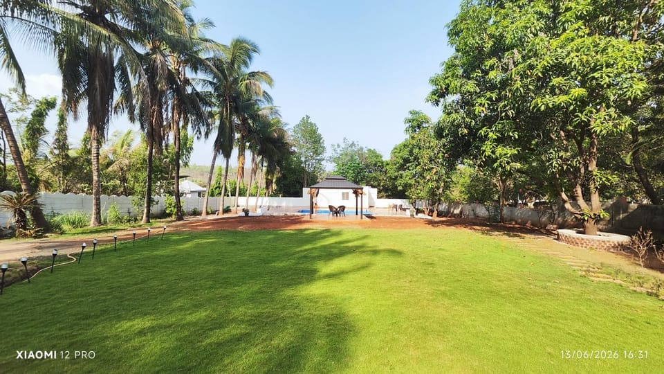 Day, Natural landscape, Garden, Garden, Garden view