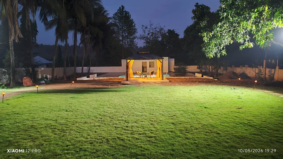 Night, Garden, Garden view