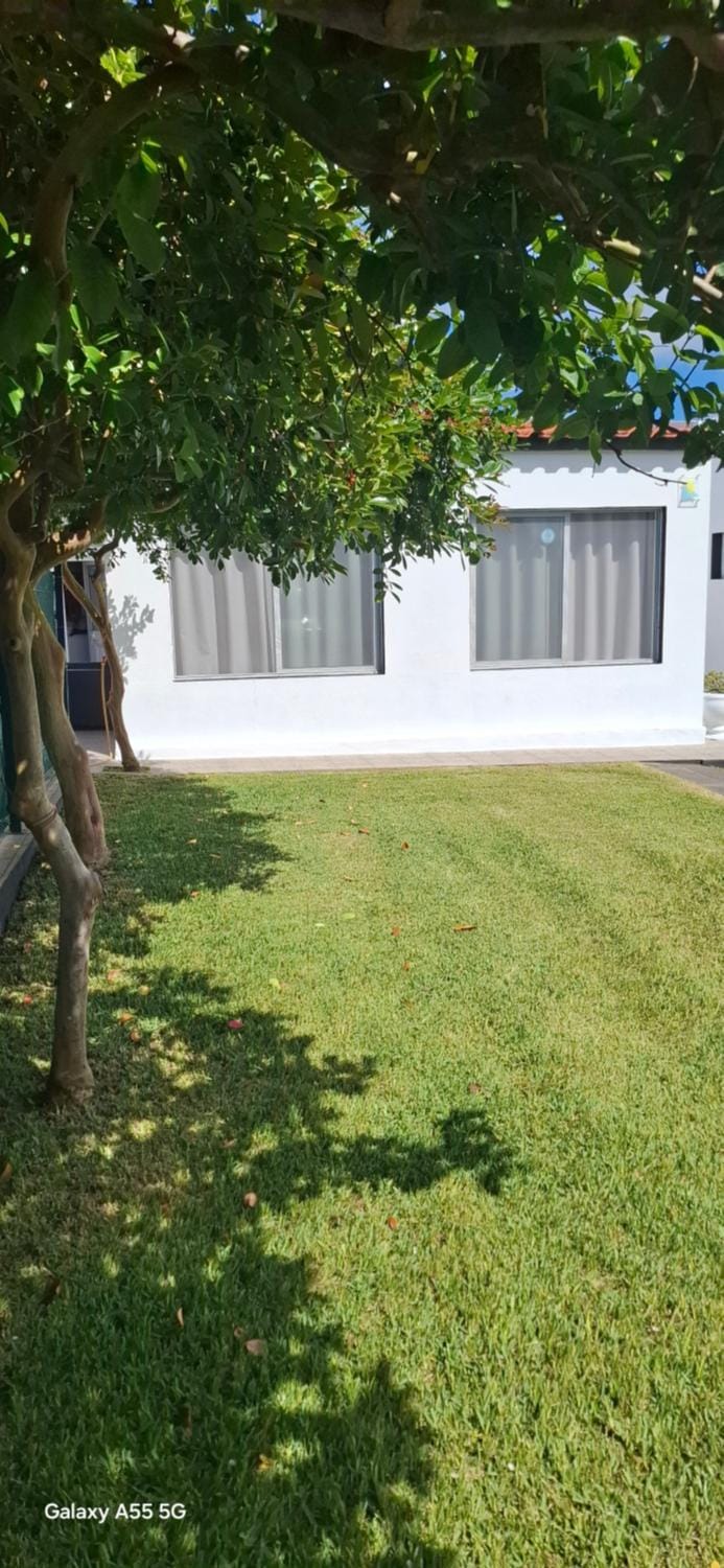 Pineapple Studio Apartment in Azores District