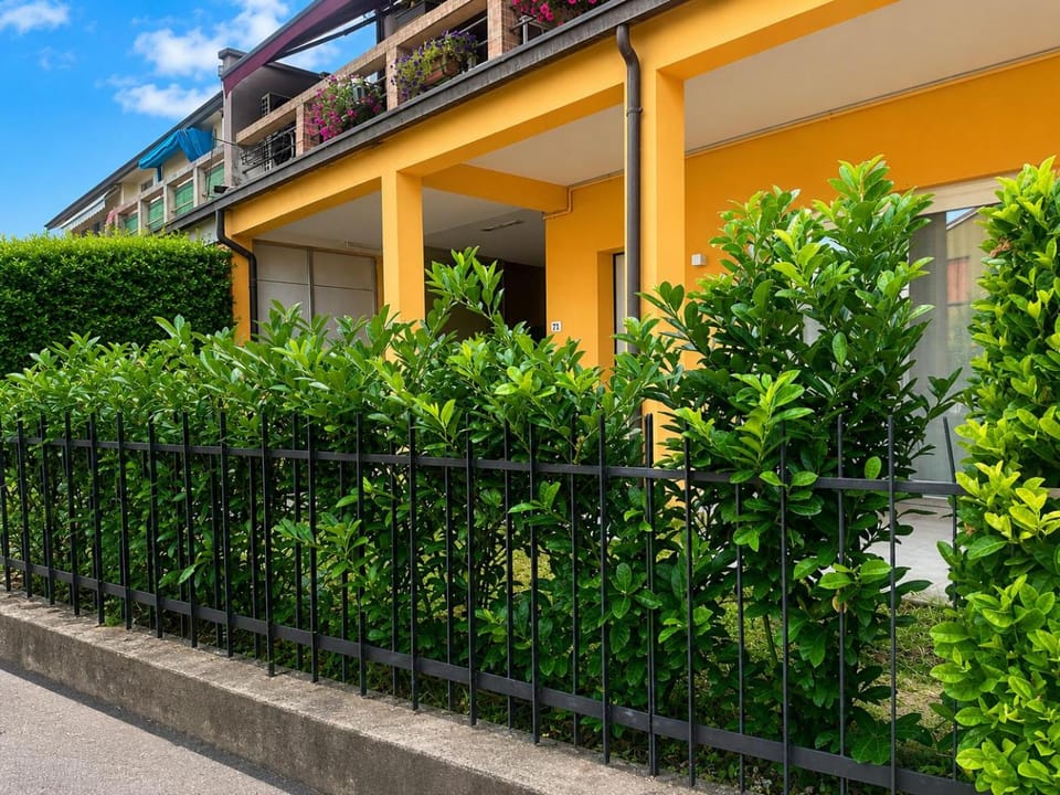 Property building, Garden view