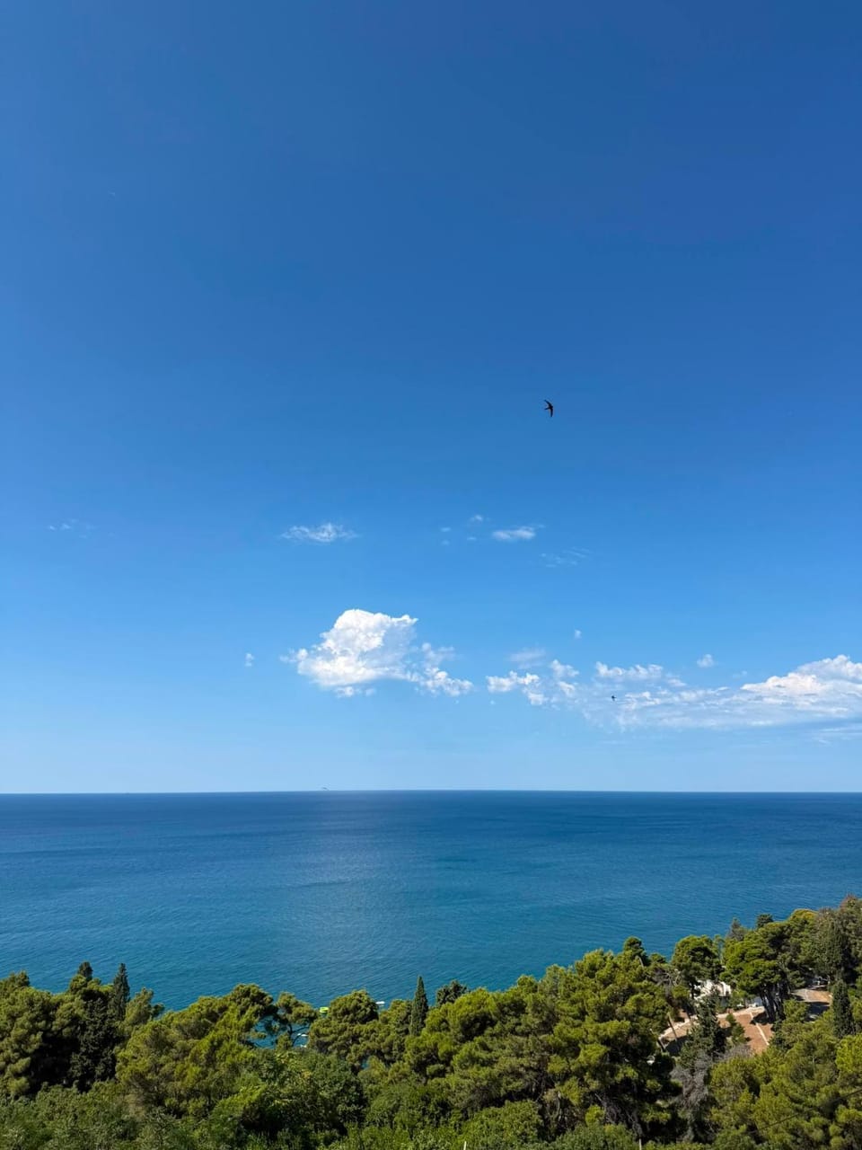 Odisey Apartment in Ulcinj