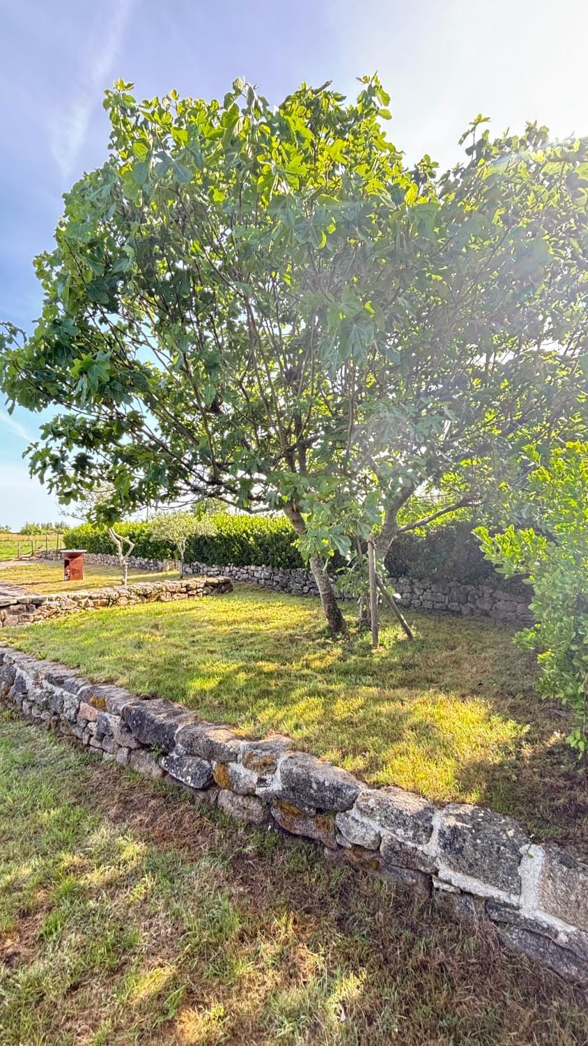 Natural landscape, Garden, Garden view