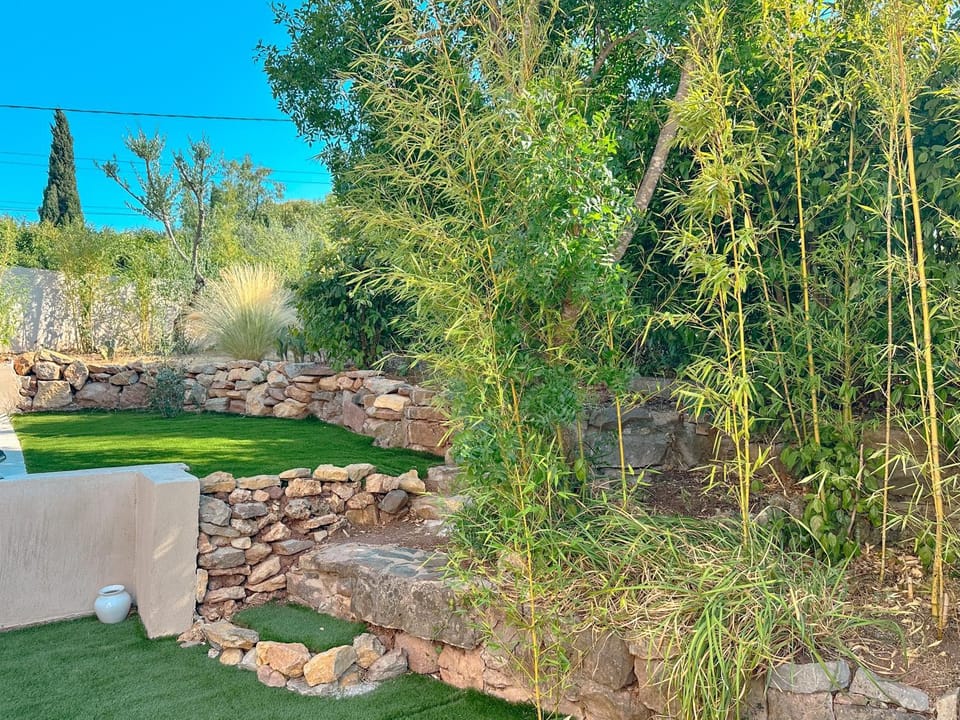Day, Natural landscape, Garden, Garden view