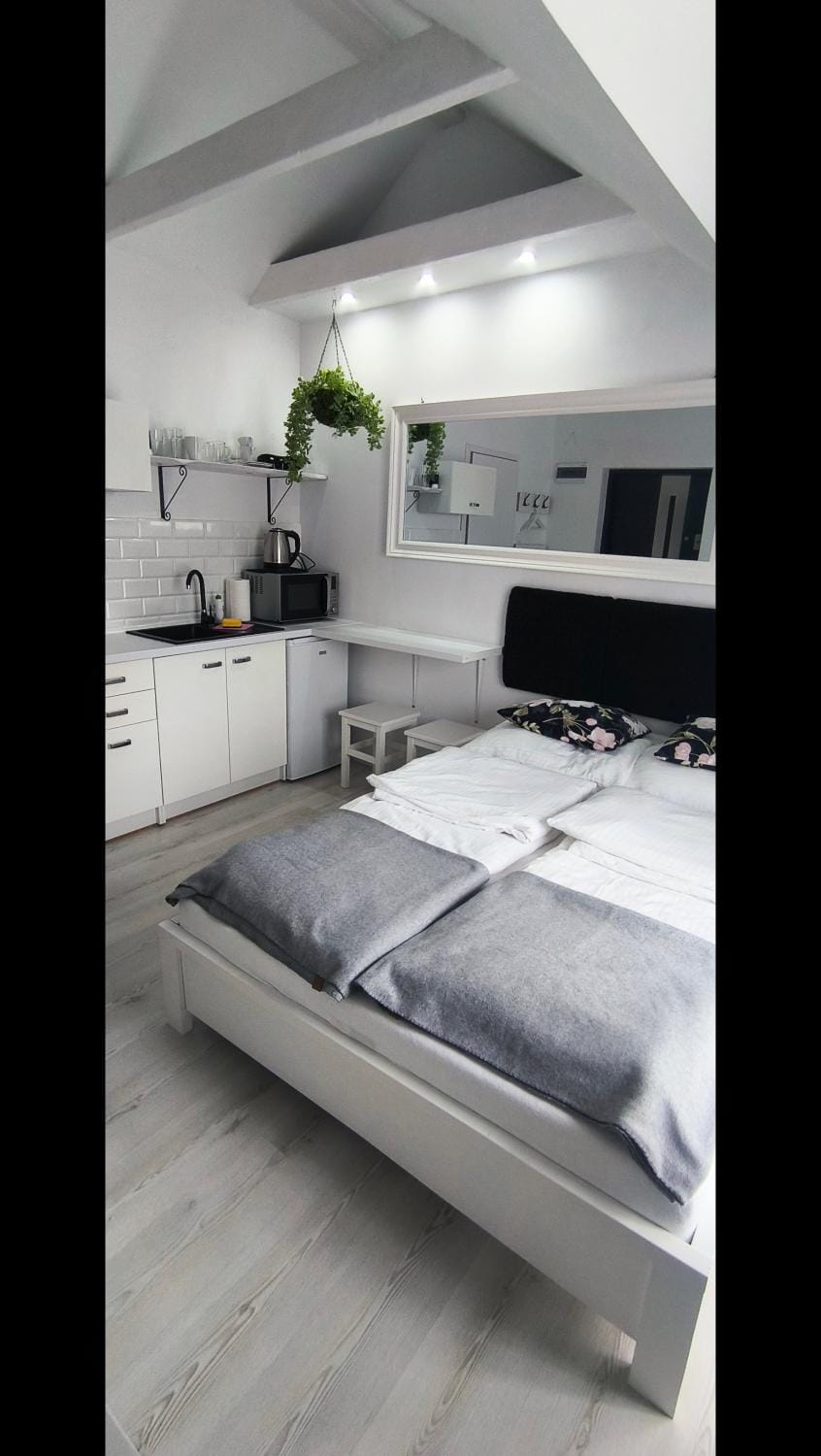 VILLA KINGA ROWy Apartment in Pomeranian Voivodeship