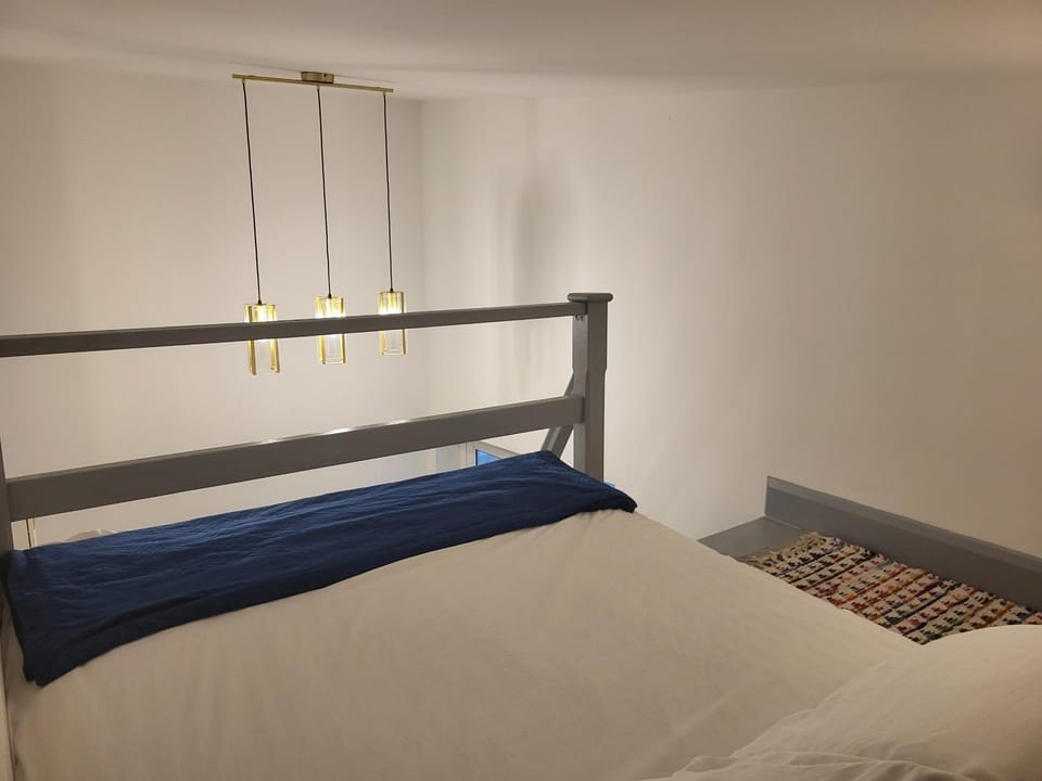 Historic Loft in Cork Apartment in Cork City