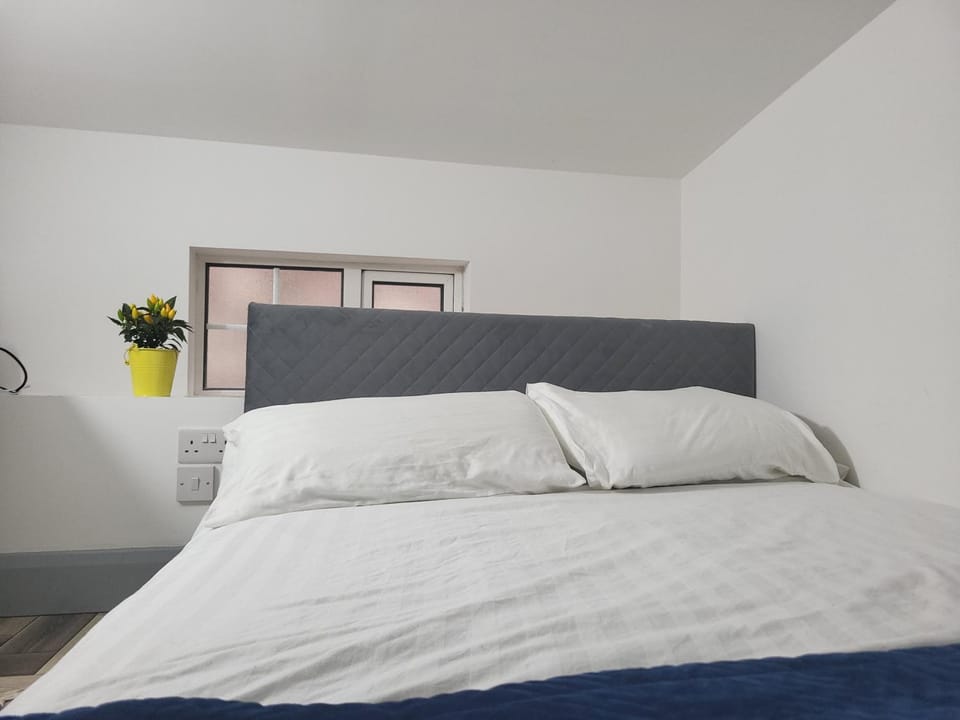 Historic Loft in Cork Apartment in Cork City