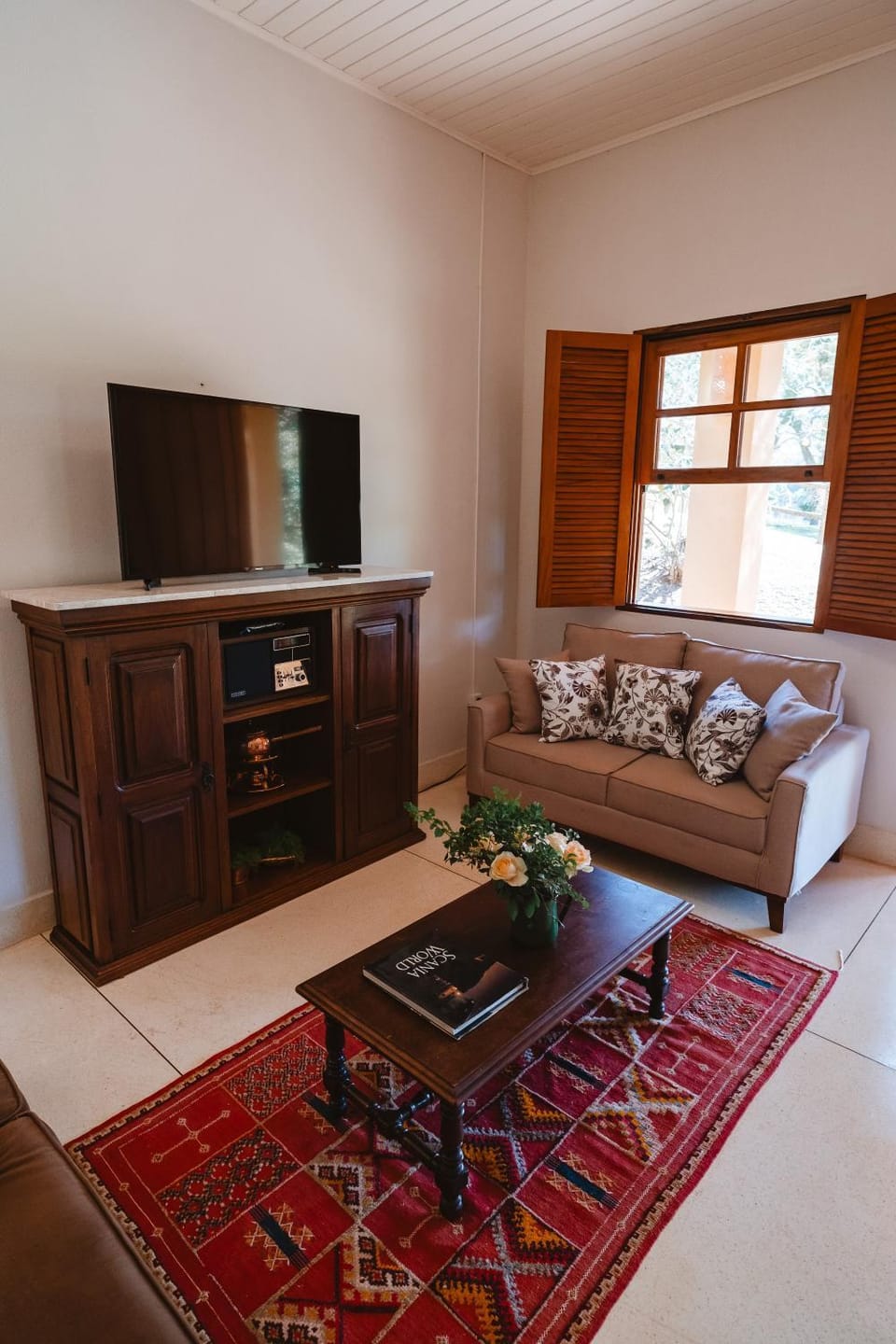 TV and multimedia