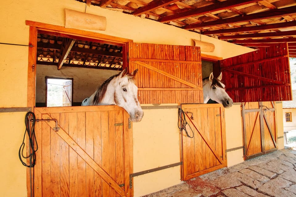 Horse-riding, Landmark view