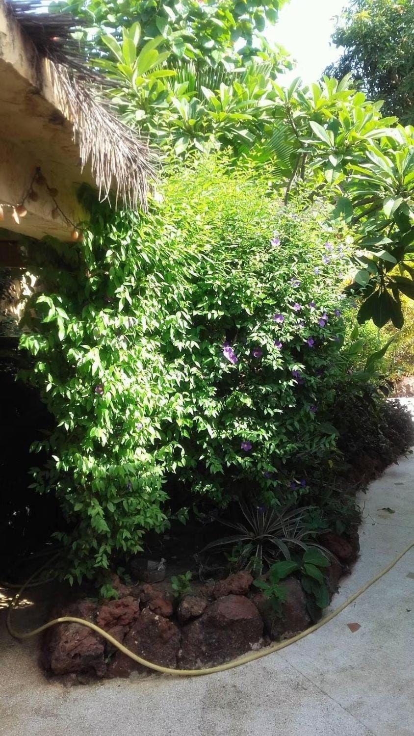 Le Paradis Breton de Somone Villa in Thiès Region, Senegal
