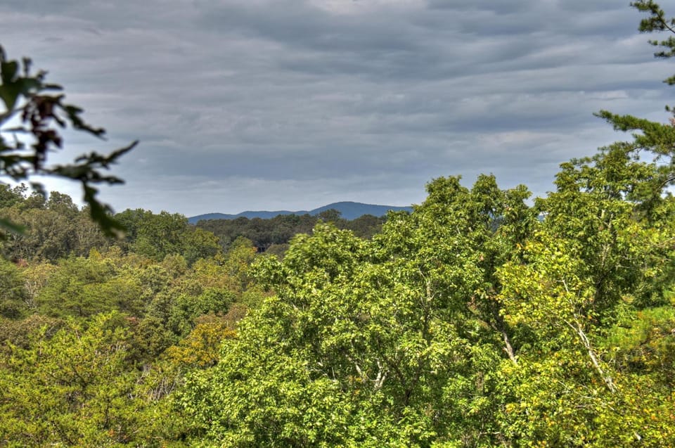 Blueberry Hill Fire Pit MTN Views Grill House in McCaysville