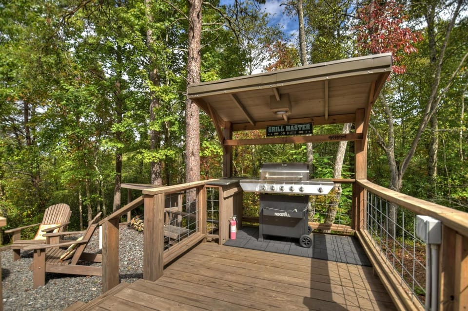 Blueberry Hill Fire Pit MTN Views Grill House in McCaysville