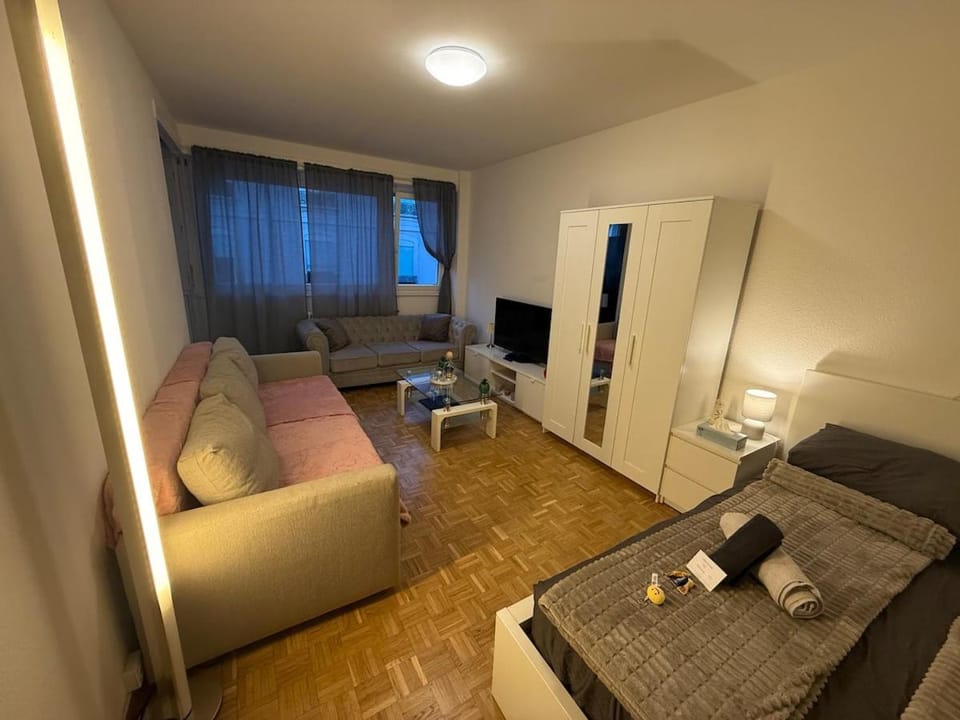 Studio cosy au cœur de Genève à proximité du lac et de la gare cornavin Apartment in Geneva