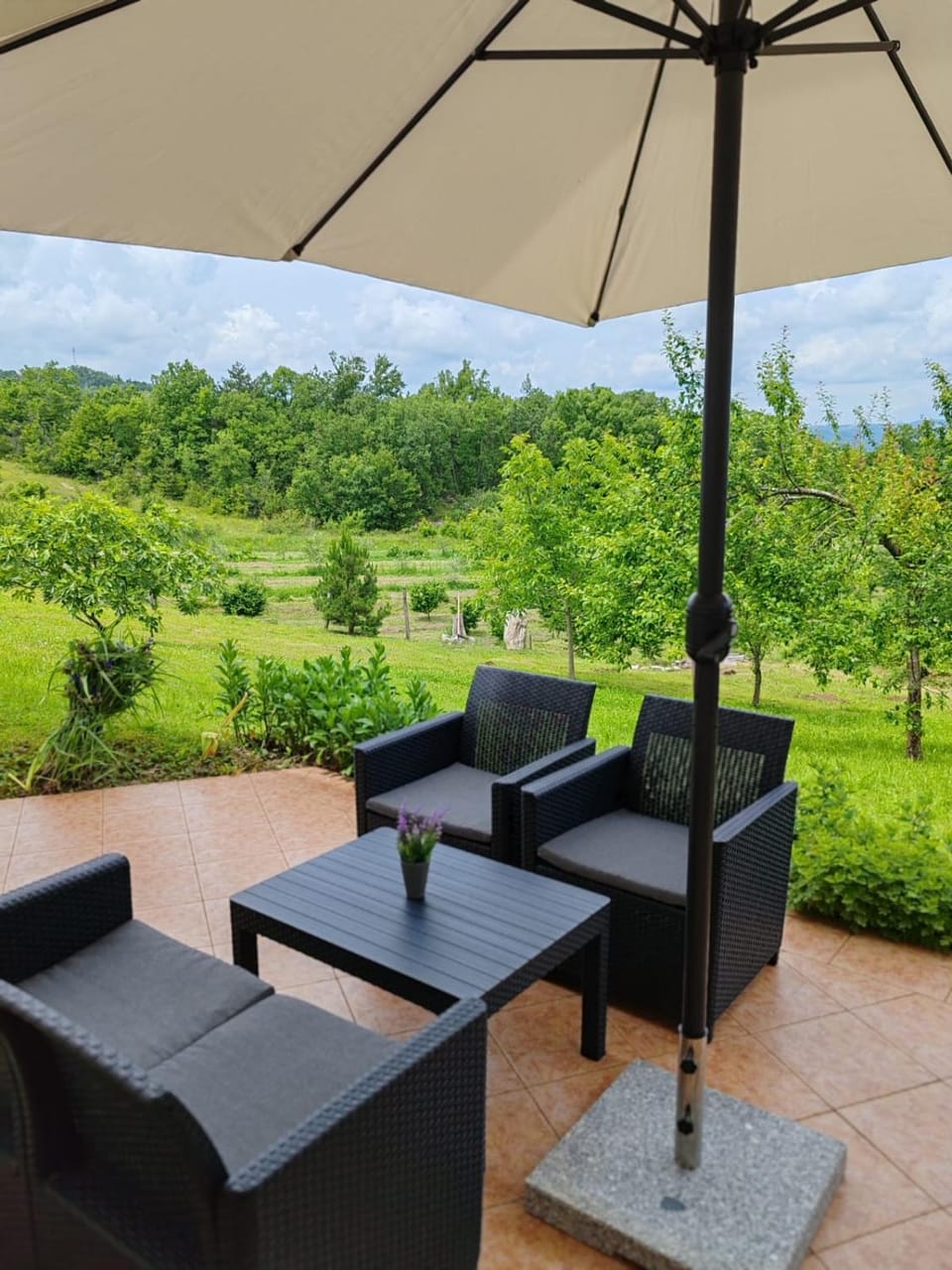 Natural landscape, Garden, Balcony/Terrace, Seating area, Garden view