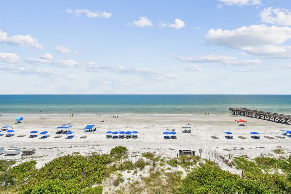Cali-Coastal Luxe Oceanfront Condo at Beach Palms Apartment in Redington Shores